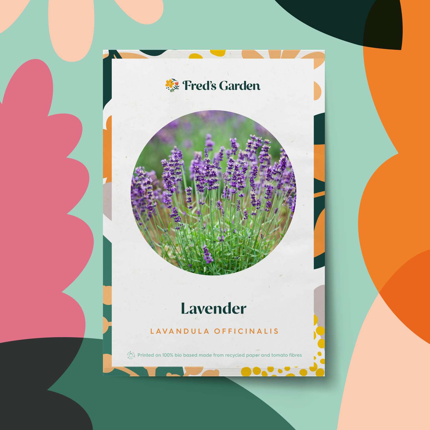 Lavendel (Samen)